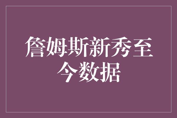 詹姆斯新秀至今数据