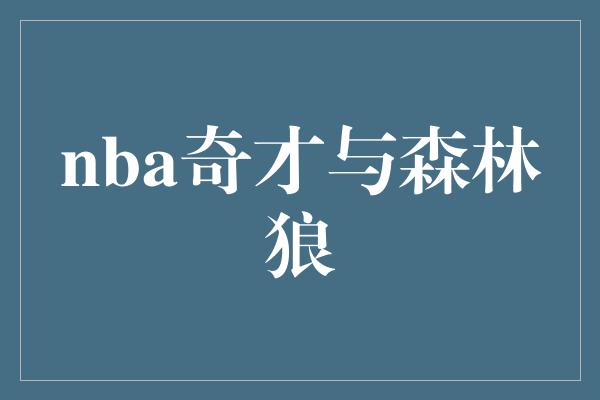 nba奇才与森林狼