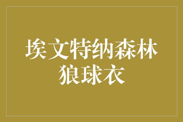 埃文特纳森林狼球衣