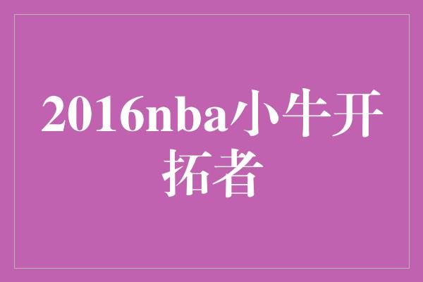 2016nba小牛开拓者