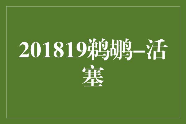 201819鹈鹕-活塞