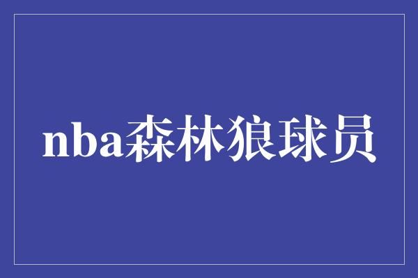 nba森林狼球员