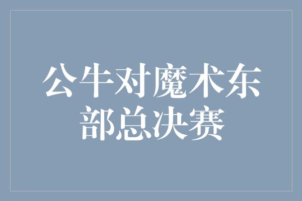 公牛对魔术东部总决赛