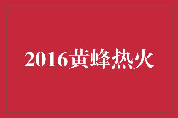 2016黄蜂热火