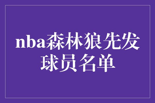 nba森林狼先发球员名单