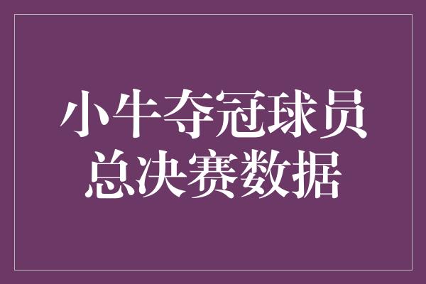 小牛夺冠球员总决赛数据