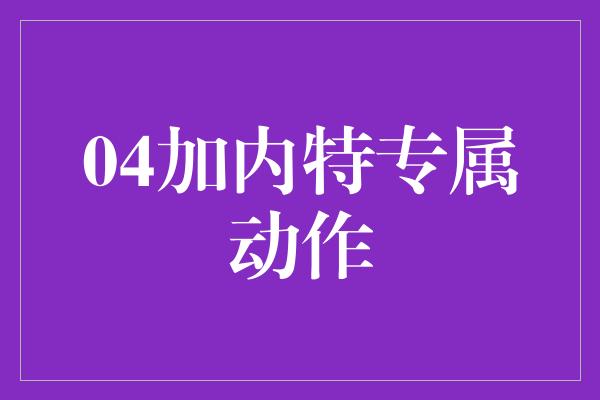 04加内特专属动作