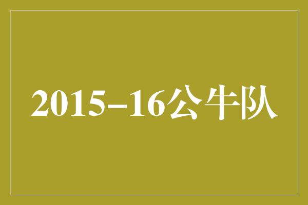 2015-16公牛队