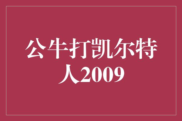 公牛打凯尔特人2009