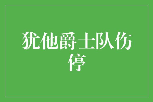 犹他爵士队伤停