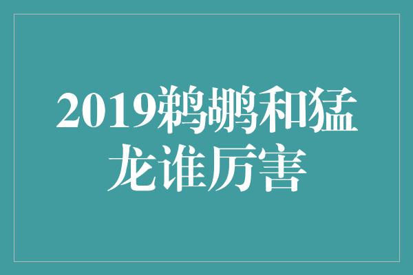 2019鹈鹕和猛龙谁厉害