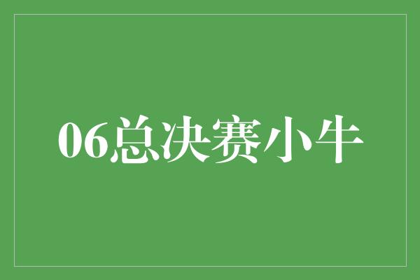 06总决赛小牛